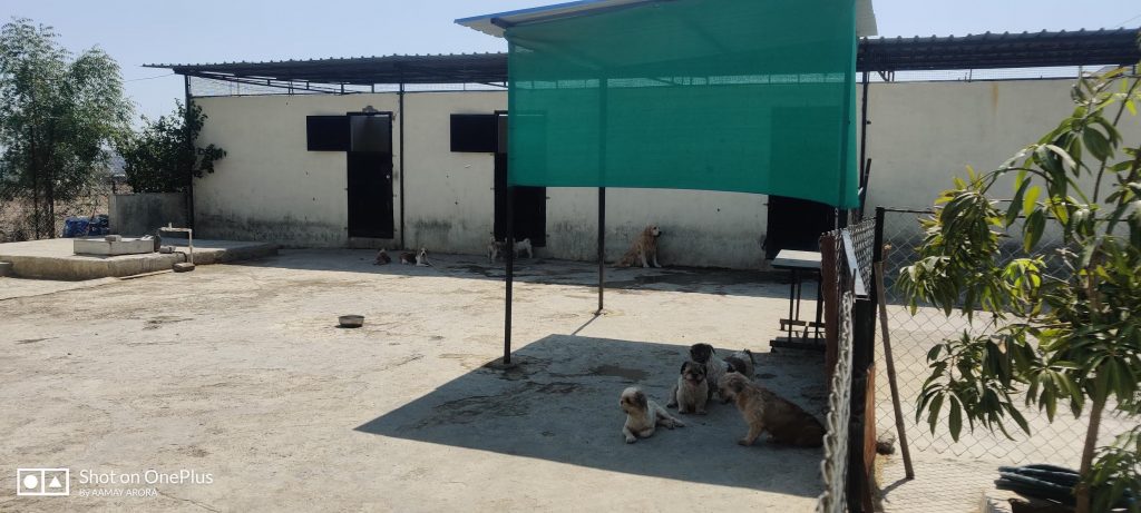 rittz kennel - dog hostel - exterior 1