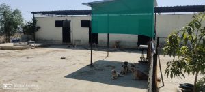 rittz kennel - dog hostel - exterior 1